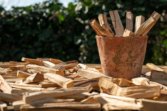 Come tenere acceso il Palo Santo: il rituale perfetto per un’esperienza autentica