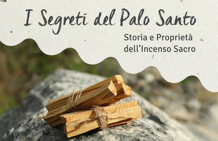 I Segreti del Palo Santo: scopri di più sulla Storia e le Proprietà dell’Incenso più sacro.