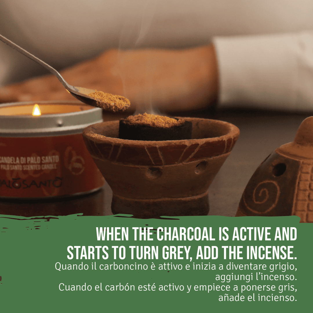 Incenso Palo Santo Trucioli Polvere Especial Perù 100% Naturale da Produzione Etica e Sostenibile Legno Sacro Bursera graveolens